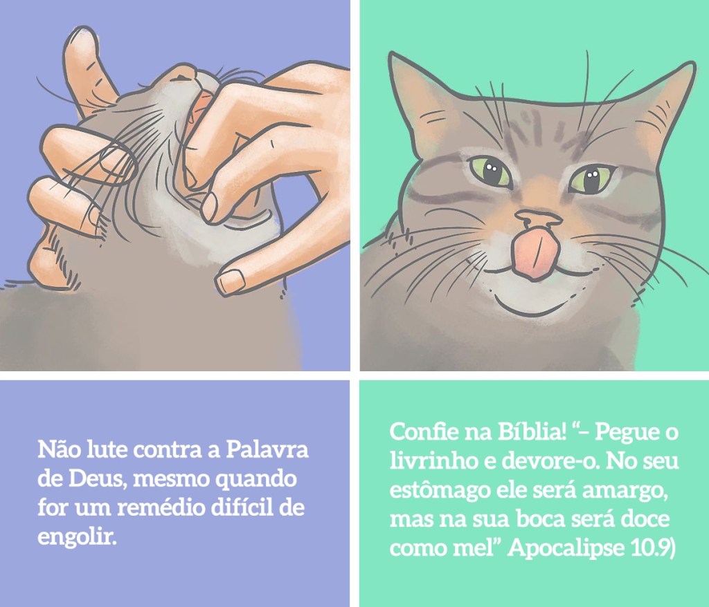 Ilustração 1: meme de uma mão forçando abrir a boca de um gato para dar remédio. o desenho passa a ideia de que o dono está tentando e o gato resistindo. Na imagem está escrito, "Não lute contra a Palavra de Deus mesmo quando for um remédio difícil de engolir."
Ilustração 2: continuação do meme, agora o gato está com uma carinha satisfeita e lambendo o beicinho após tomar o remédio. Na imagem está escrito, "Pegue o livrinho e devore-o. No seu estômago ele será amargo, mas na sua boca será doce como mel." Apocalipse 10.9