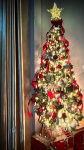 🖼️ Para cego ver
A imagem mostra uma árvore de Natal alta, posicionada dentro de uma casa, encostada em uma parede clara. À esquerda, há uma cortina longa em tons neutros, que vai do teto até o chão, criando um contraste suave com as luzes da árvore.
A árvore é verde, cheia e bem iluminada, coberta por muitas luzes brancas quentes, que criam um brilho intenso e acolhedor. No topo, há uma estrela dourada iluminada, que se destaca como o ponto mais alto e luminoso da cena.
A decoração é rica e equilibrada, com predominância das cores vermelho, dourado, verde e prata. Laços e fitas vermelhas percorrem a árvore de cima a baixo, formando curvas suaves entre os galhos. Entre os enfeites, há:
bolas vermelhas, douradas e prateadas, algumas lisas e outras com textura,
estrelas decorativas,
ornamentos alongados em tons metálicos,
pequenos ramos decorativos com frutas vermelhas.
As luzes estão distribuídas de maneira uniforme, preenchendo bem os espaços entre os galhos e dando profundidade à árvore.
Na base, a árvore está apoiada sobre um tecido ou saia clara, e ao redor há sacolas e caixas de presente, principalmente em tons de vermelho e claro, posicionadas no chão.
A iluminação do ambiente é baixa, o que faz com que a árvore seja a principal fonte de luz da imagem. A cena transmite uma sensação de aconchego, celebração e calma, típica de um ambiente natalino preparado com cuidado.